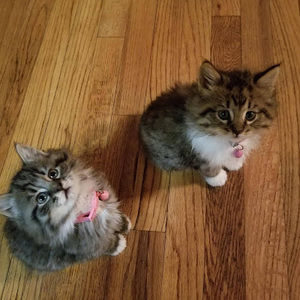 Meet your Posher, Hayward